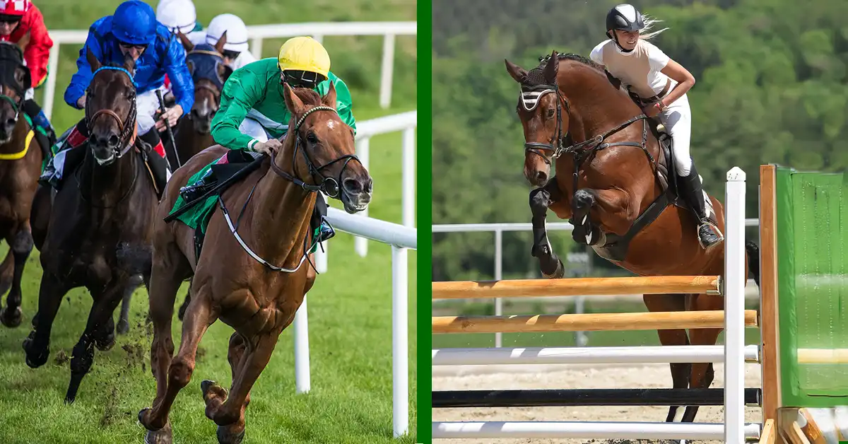 horse jumping, horse racing, chasing, mouthguard