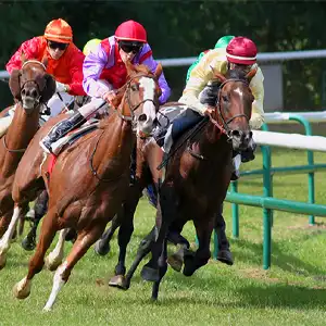 mouthguard and horse racing